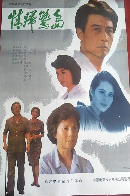 情归鹭岛 封面