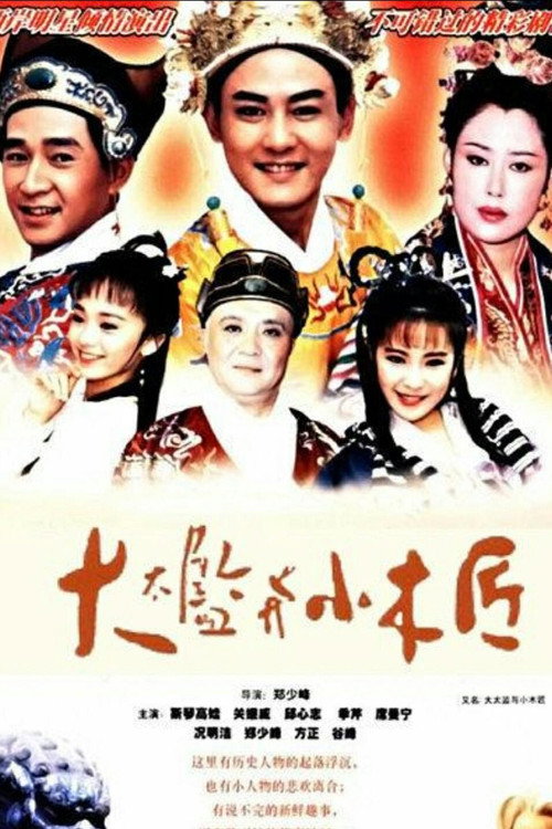 大太监与小木匠 封面