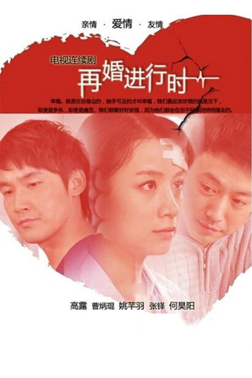 再婚进行时 封面