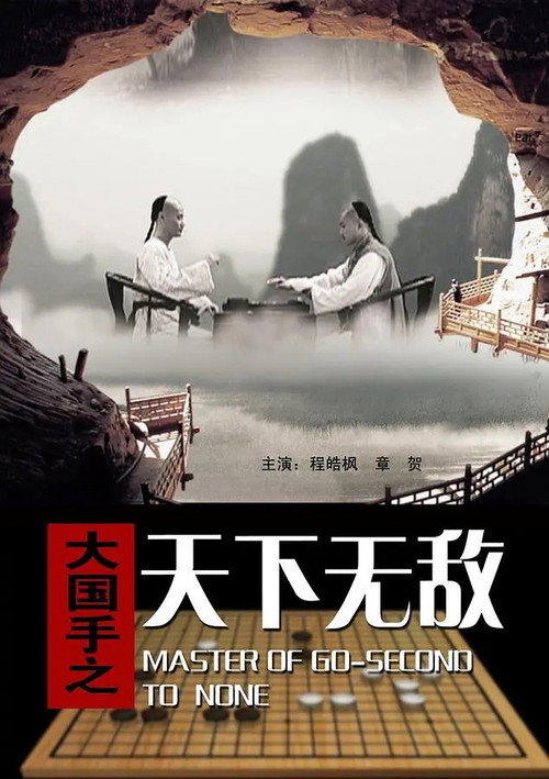 大国手之天下无敌 封面
