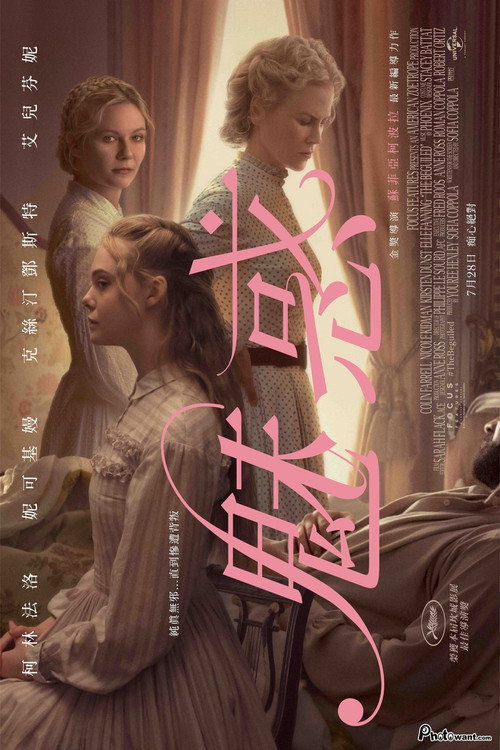 牡丹花下 封面