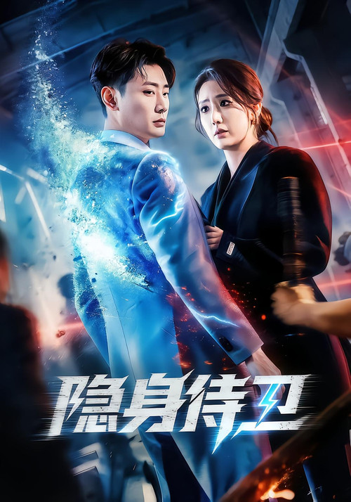 隐身侍卫 封面