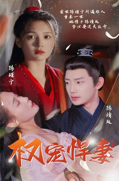 权宠悍妻 封面
