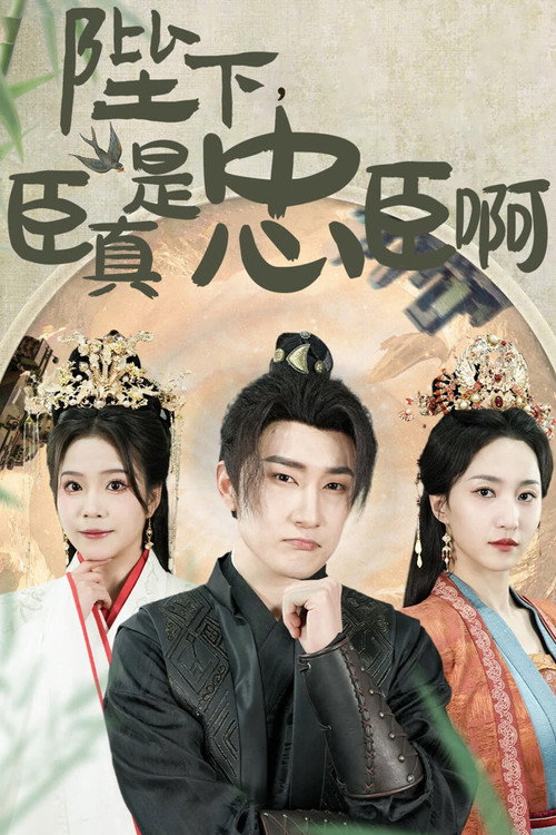 陛下，臣真是忠臣啊 封面