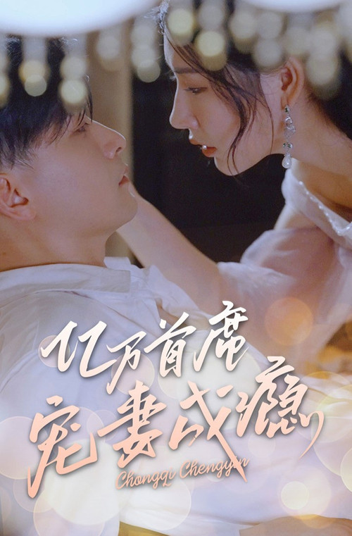 亿万首席宠妻成瘾 封面