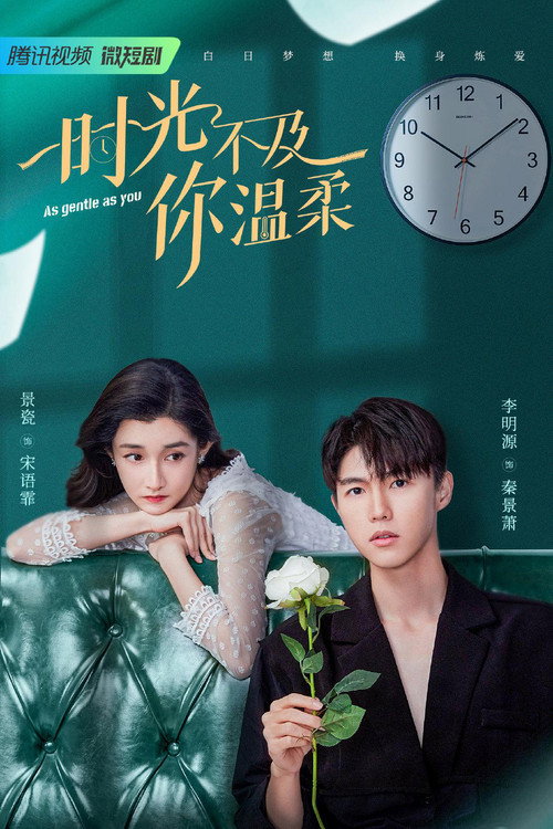 时光不及你温柔 封面