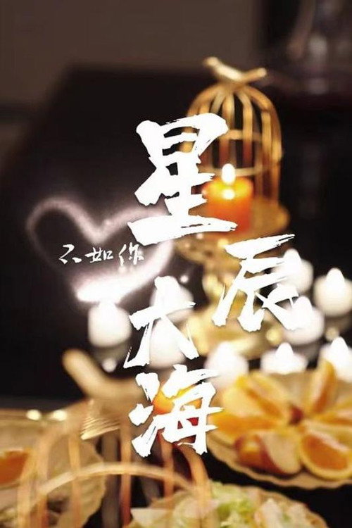 星辰大海不如你 封面