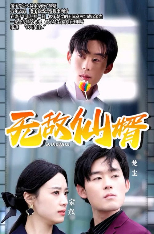 无敌仙婿 封面