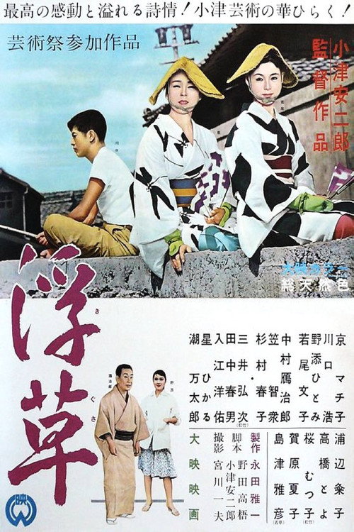 浮草 封面