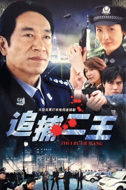 追捕二王 封面