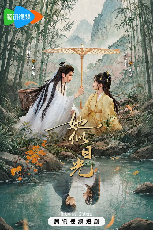 她似日光 封面