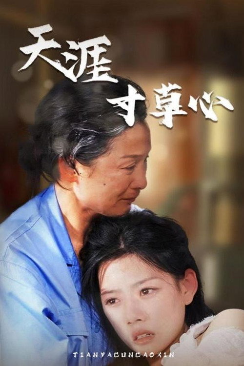 天涯寸草心 封面