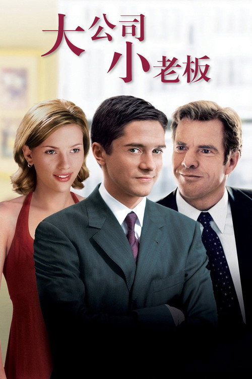 大公司小老板 封面