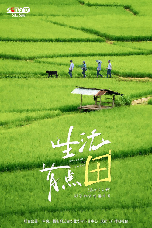 生活有点“田” 封面