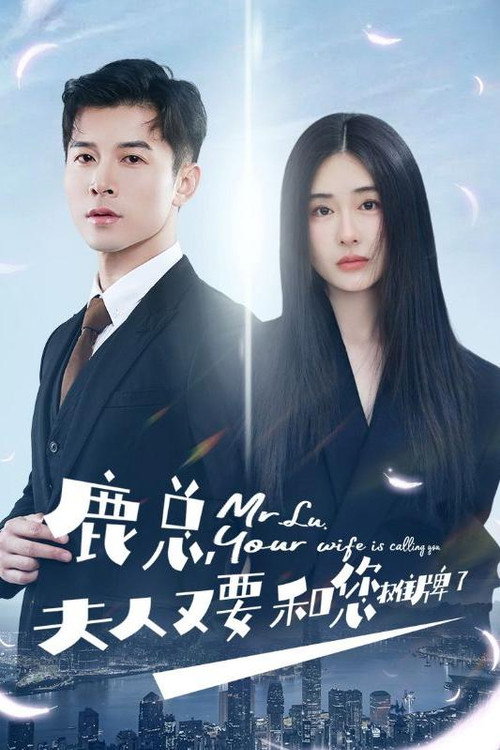 鹿总，夫人又要和您摊牌了 封面
