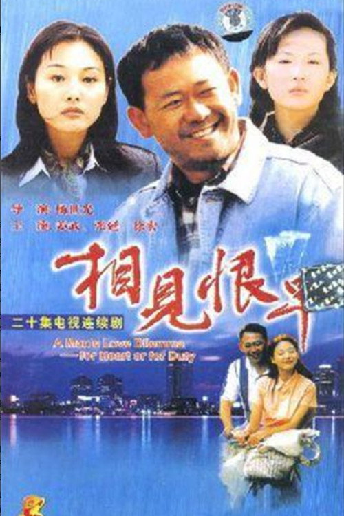 相见恨早 封面