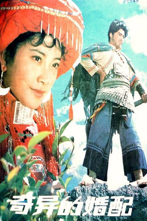 奇异的婚配 封面