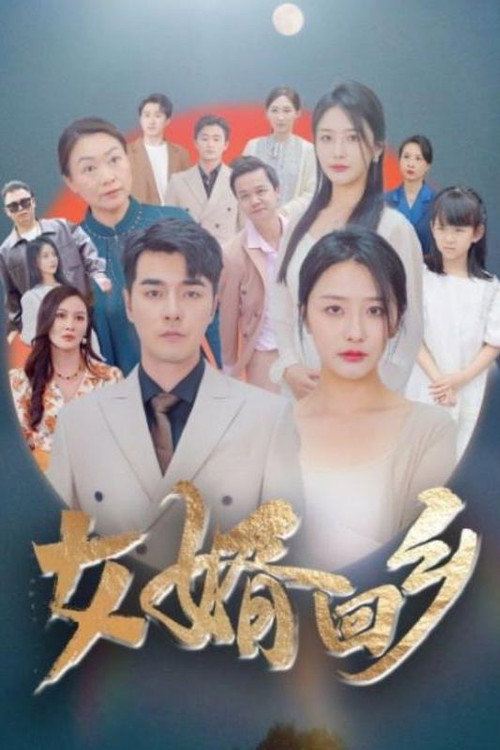 女婿回乡 封面