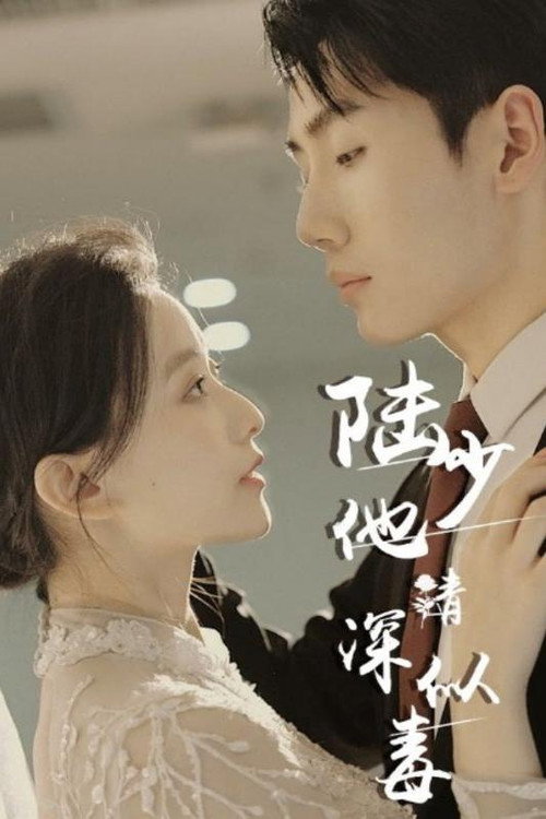 陆少他情深似毒 封面