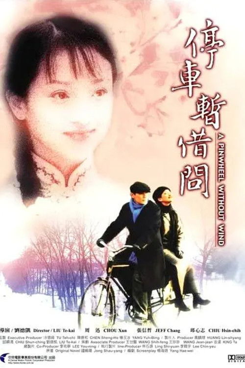 烟雨红颜 封面