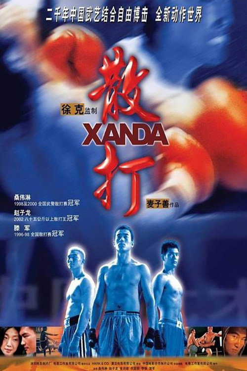 散打 封面