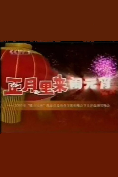 2003年中央电视台元宵晚会 封面