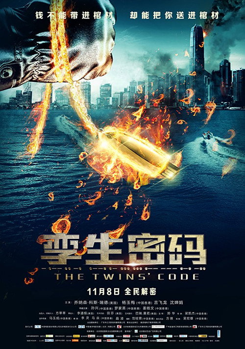 孪生密码 封面