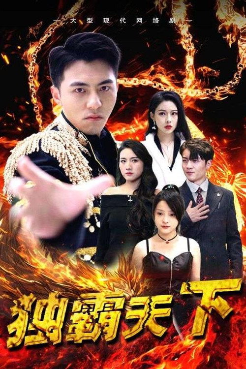 独霸天下 封面