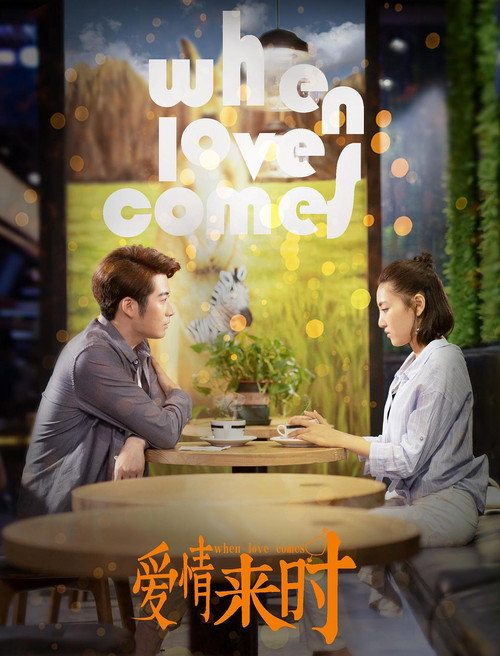 爱情来时 封面