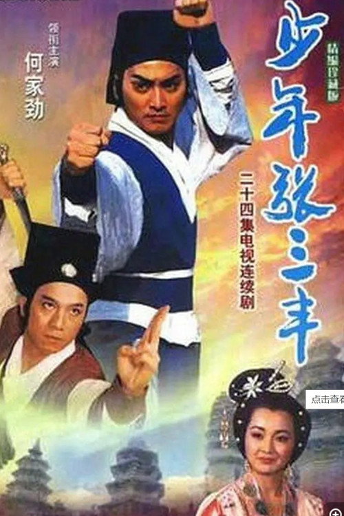 少年张三丰 封面