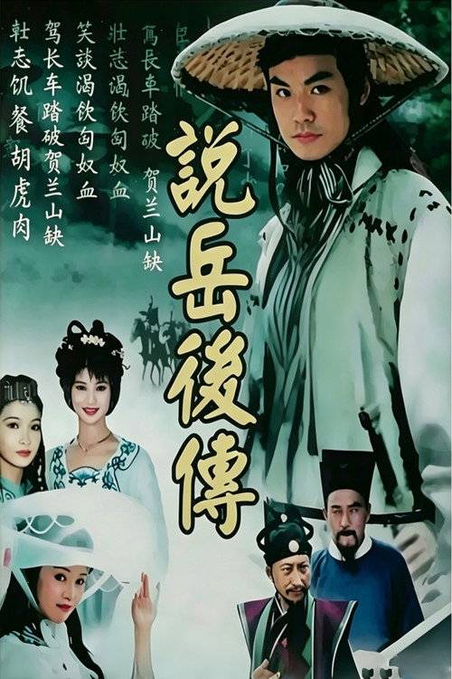 说岳后传 封面