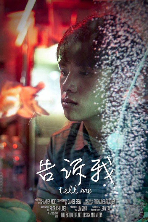 告诉我 封面
