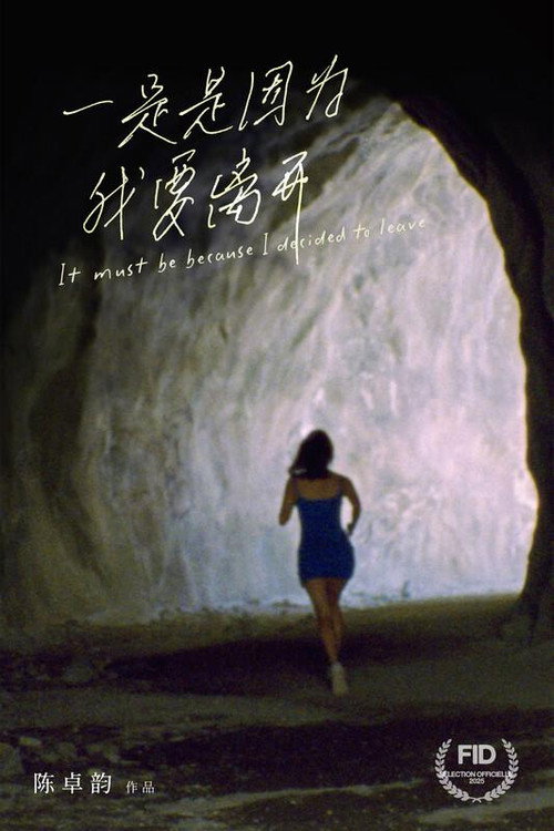 一定是因为我要离开 封面
