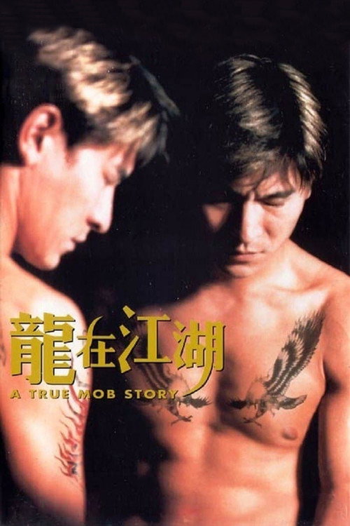 龙在江湖 封面