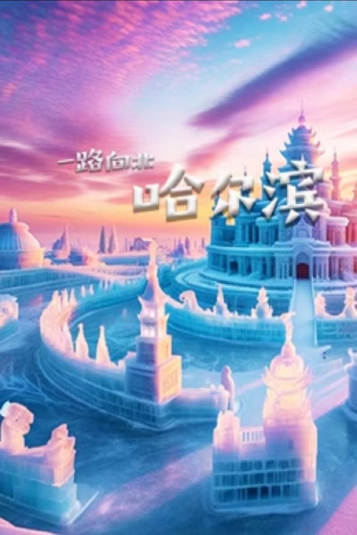 一路向北 哈尔滨 封面
