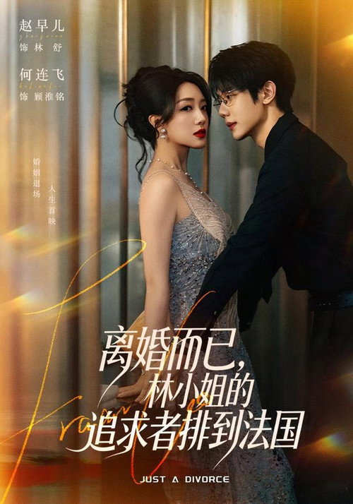 离婚而已,林小姐的追求者排到法国 封面
