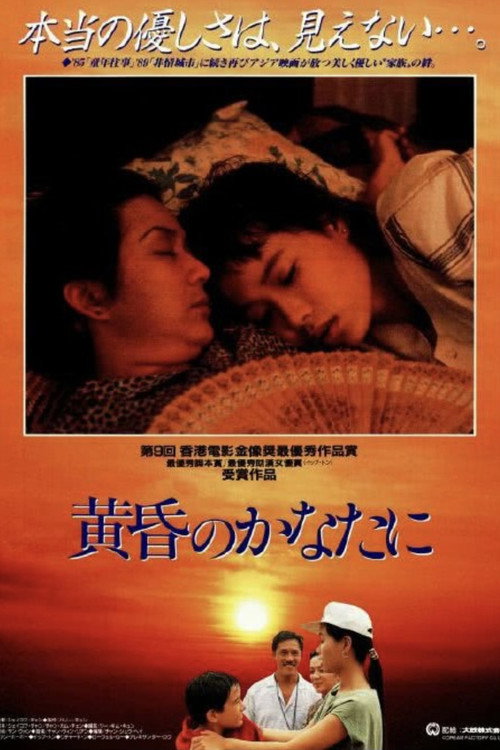 飞越黄昏 封面