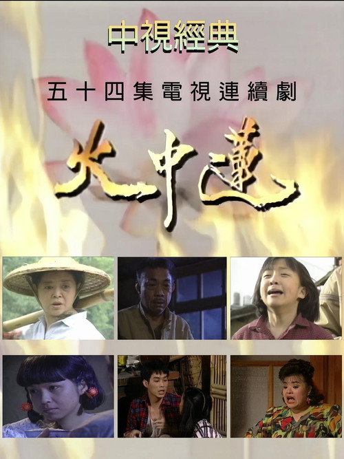 火中莲 封面