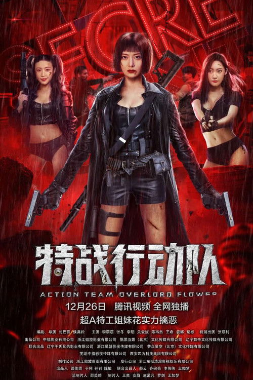 特战行动队 封面