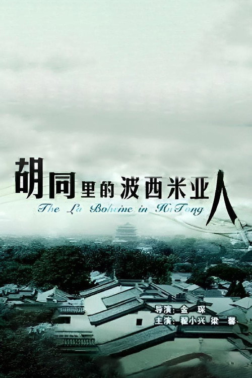 胡同里的波西米亚人 封面