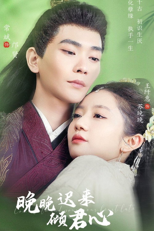 晚晚迟来倾君心 封面