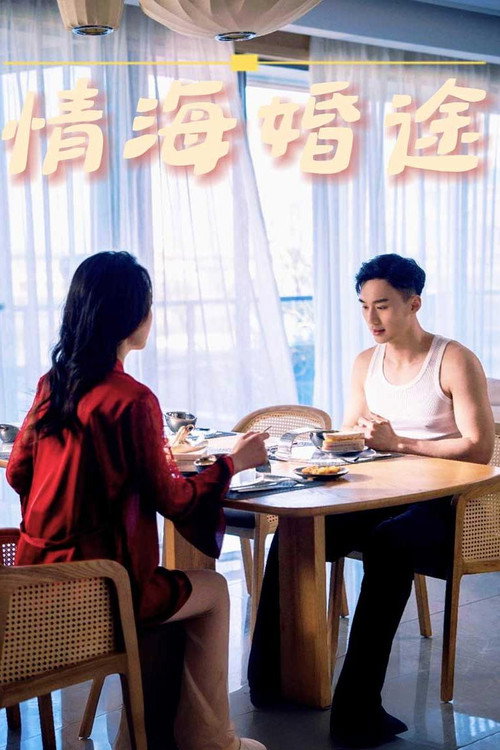 情海婚途 封面