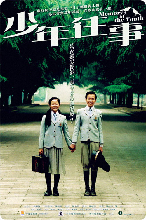 少年往事 封面