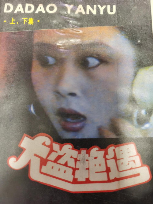 大盗艳遇 封面