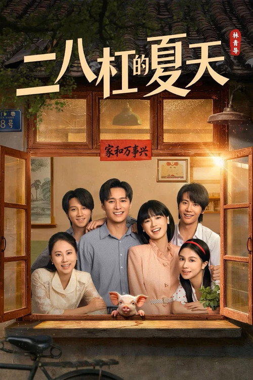 二八杠的夏天 封面