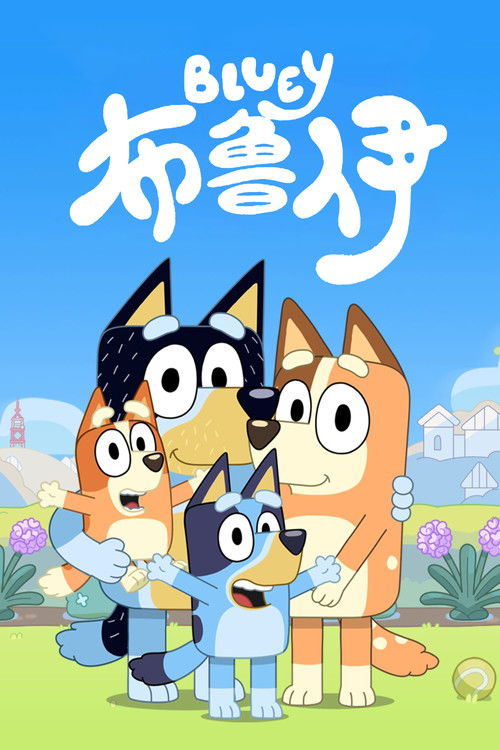 布鲁伊 封面