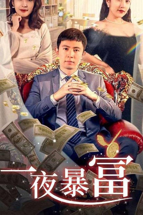 一夜暴富 封面