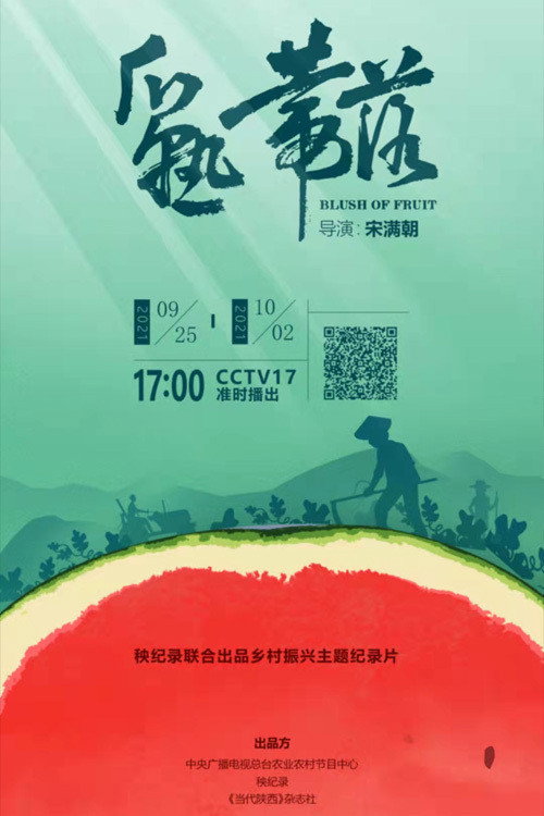 瓜熟蒂落 封面