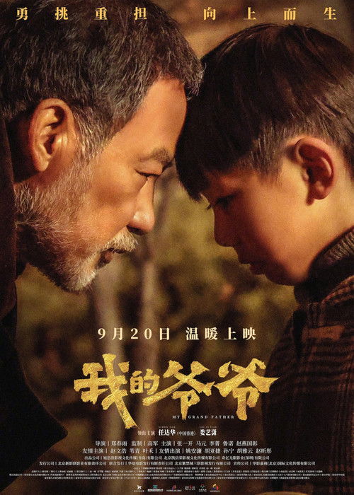 我的爷爷 封面