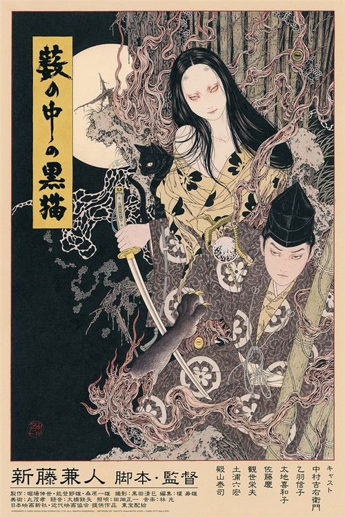 黑猫 封面
